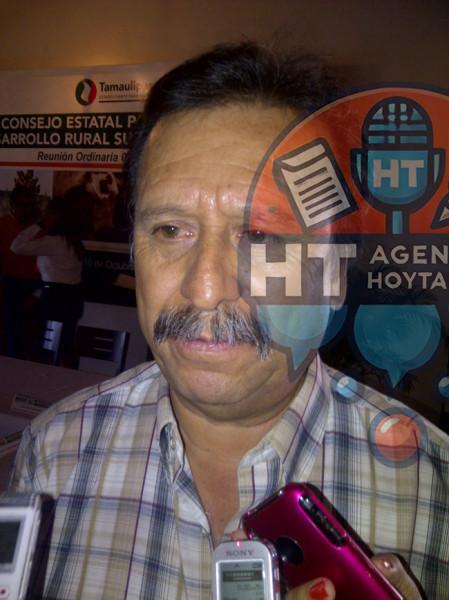 Se perderían 150 mil toneladas de sorgo Se perderían 150 mil toneladas de sorgo