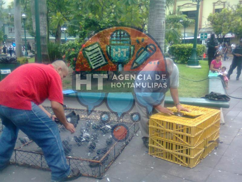 capturan palomas capturan palomas