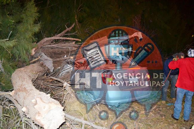 Muere al chocar contra troncos en Nuevo Laredo Muere al chocar contra troncos en Nuevo Laredo