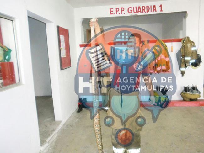 Aseguran Bomberos de Altamira 4 víboras en un mes Aseguran Bomberos de Altamira 4 víboras en un mes