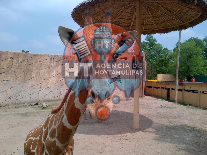 Zoológico Zoológico