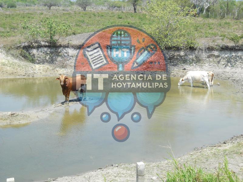 Sequía en Tamaulipas Sequía en Tamaulipas