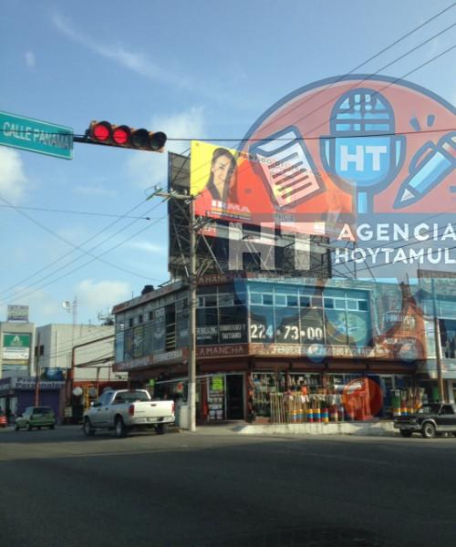 Invaden espectaculares en Tampico Invaden espectaculares en Tampico