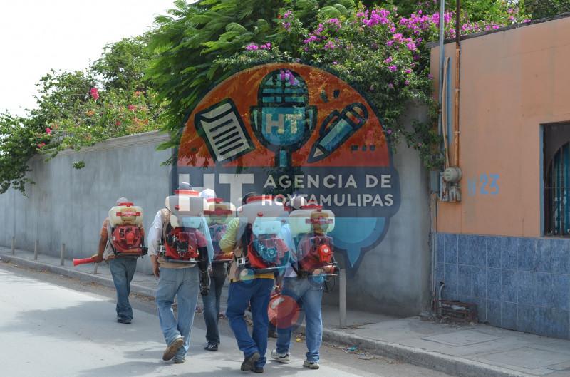 Combaten el dengue en Matamoros Combaten el dengue en Matamoros