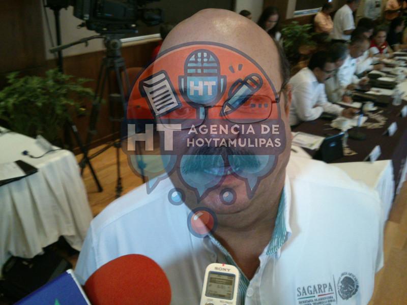 Eduardo Mansilla Eduardo Mansilla