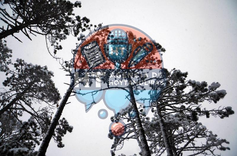 Diciembre blanco en Miquihuana Diciembre blanco en Miquihuana