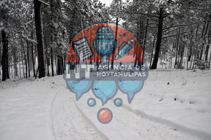 Diciembre blanco en Miquihuana Diciembre blanco en Miquihuana