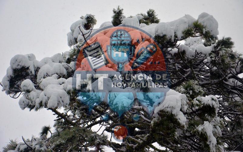 Diciembre blanco en Miquihuana Diciembre blanco en Miquihuana