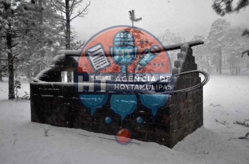 Diciembre blanco en Miquihuana Diciembre blanco en Miquihuana