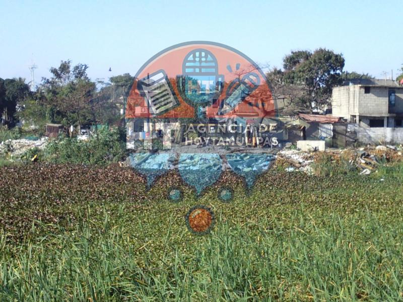 Relleno de la laguna Nuevo Amanecer Relleno de la laguna Nuevo Amanecer