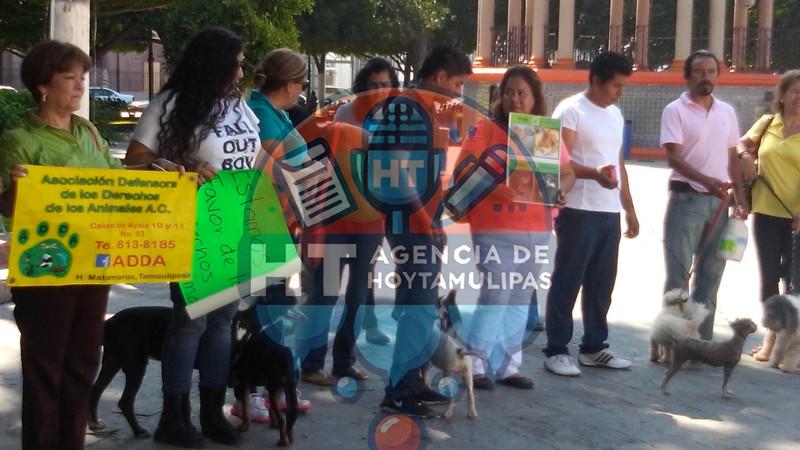 Manifestación en Matamoros en pro de los animales Manifestación en Matamoros en pro de los animales