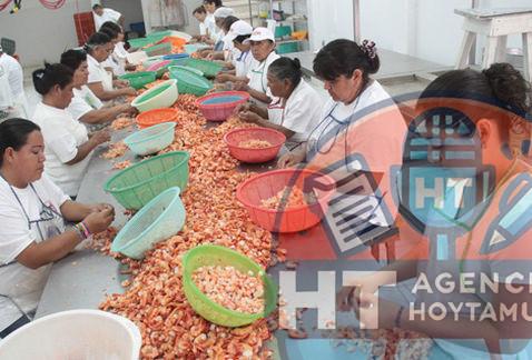 Despachadoras de Tampico Despachadoras de Tampico