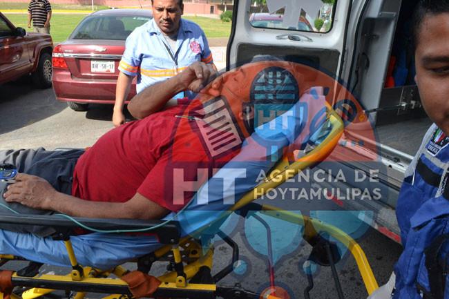 Atacan abejas Atacan abejas