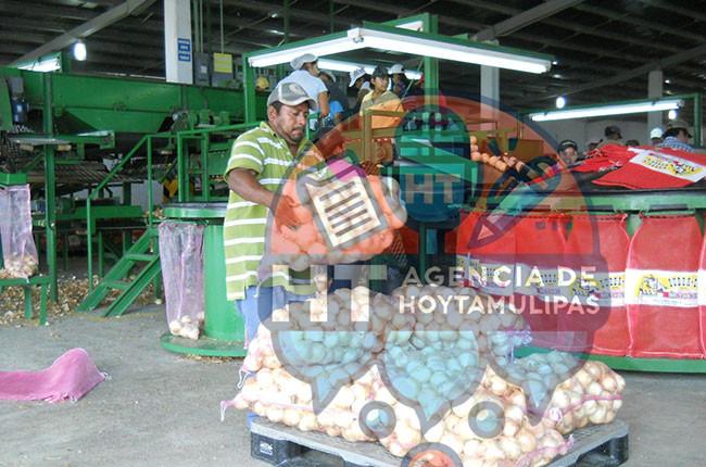 Jornaleros Jornaleros