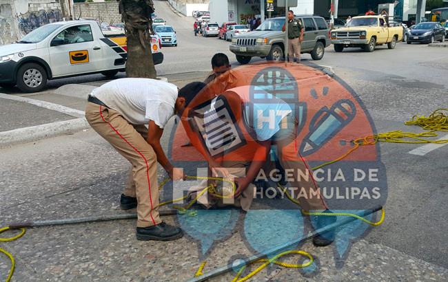 Cocodrilos Cocodrilos