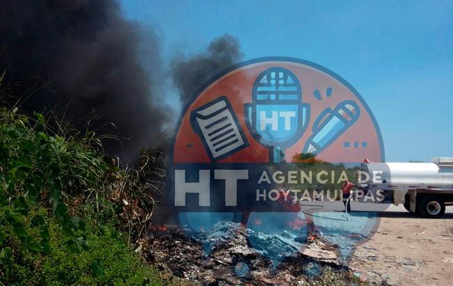 Pastizales Pastizales