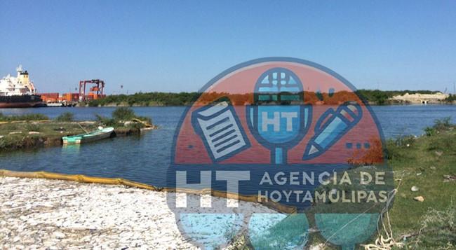 Peces muertos Peces muertos