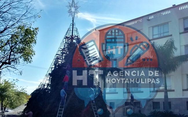 Pino Navideño Pino Navideño