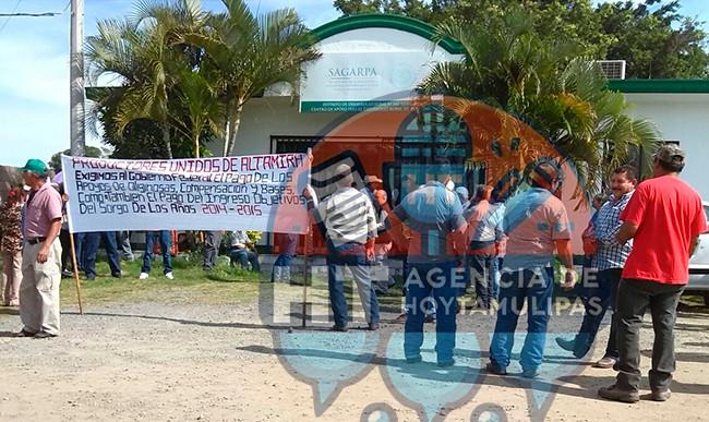 Campesinos Campesinos