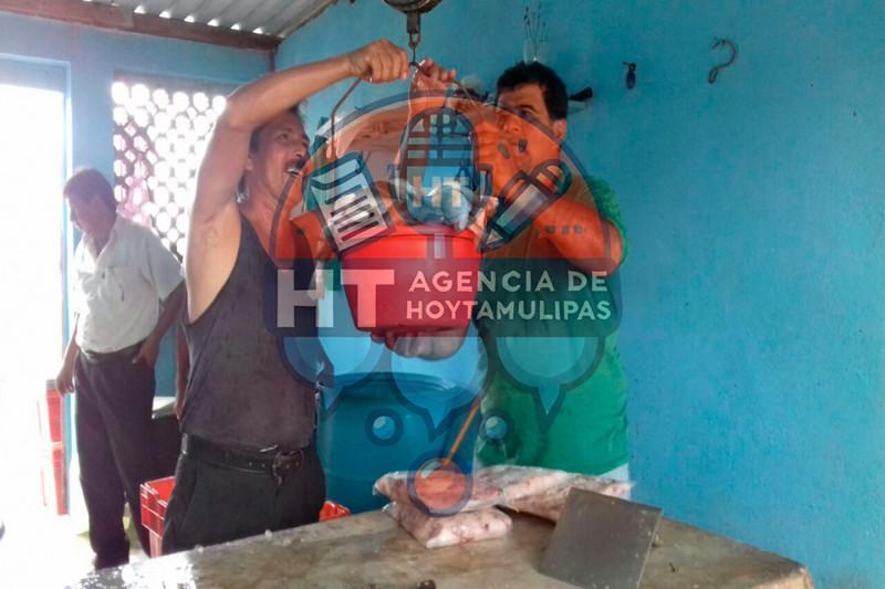 Pescadores de Altamira Pescadores de Altamira