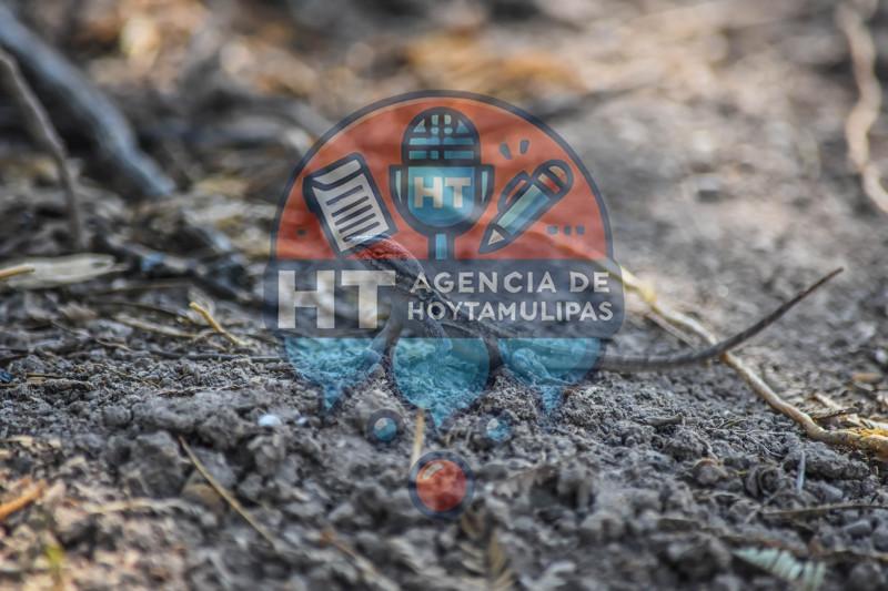 Ejido San Antonio Ejido San Antonio