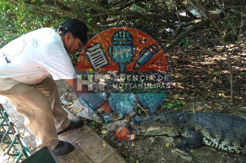 Don Nacho Man Don Nacho Man