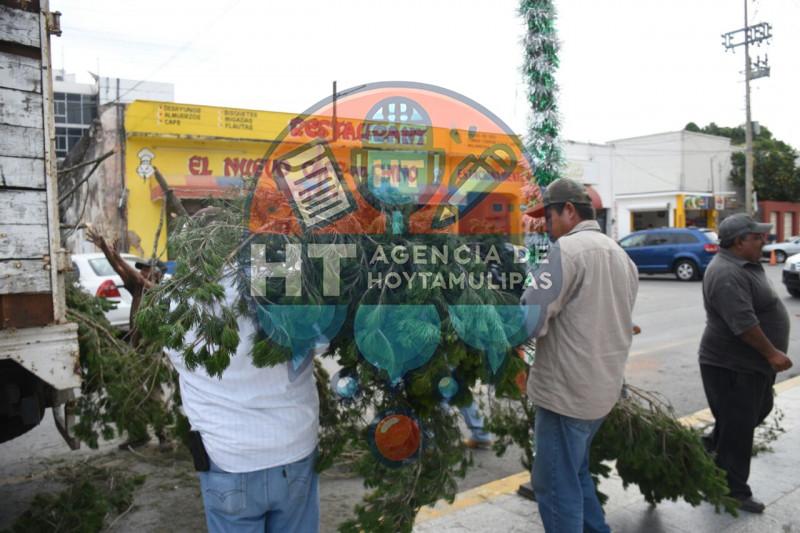 Pinos de navidad Pinos de navidad
