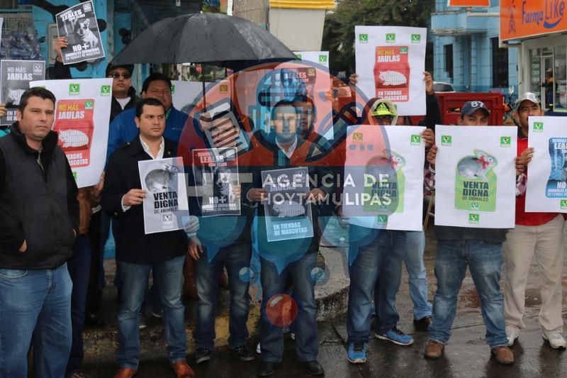 Manifestantes del Verde Manifestantes del Verde