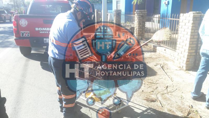 Bolsas negras Bolsas negras