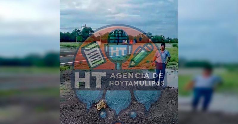 Sorprende cocodrilo a automovilistas en carretera de Villa de Casas Sorprende cocodrilo a automovilistas en carretera de Villa de Casas