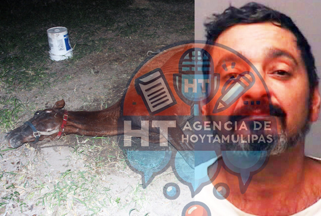 Brownsville - Polic�a - Crueldad Animal