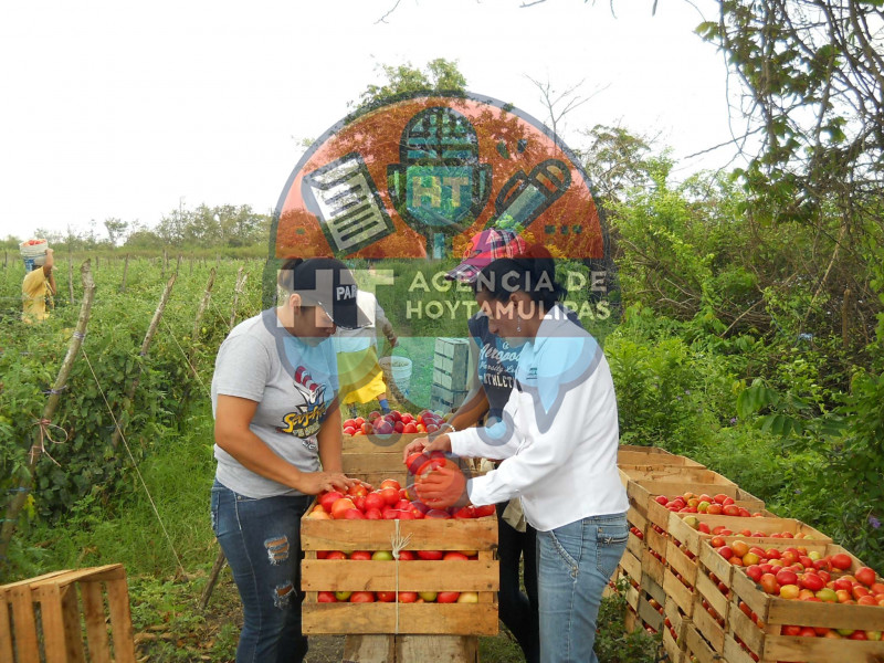 Remesas de EUA hacia Altamira