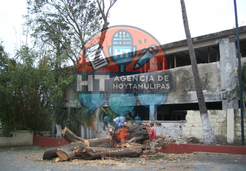 Reforestaci�n - Tampico