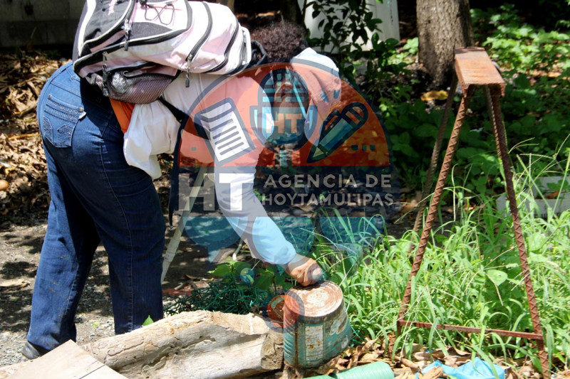 Acciones contra el dengue