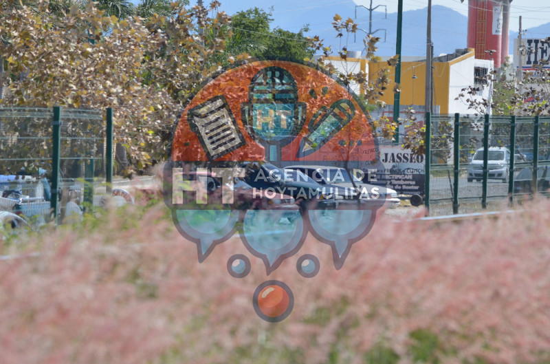 Robo de reja perimetral en el Eje vial