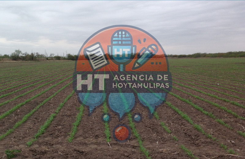 Ruegan a Dios por lluvias en Matamoros