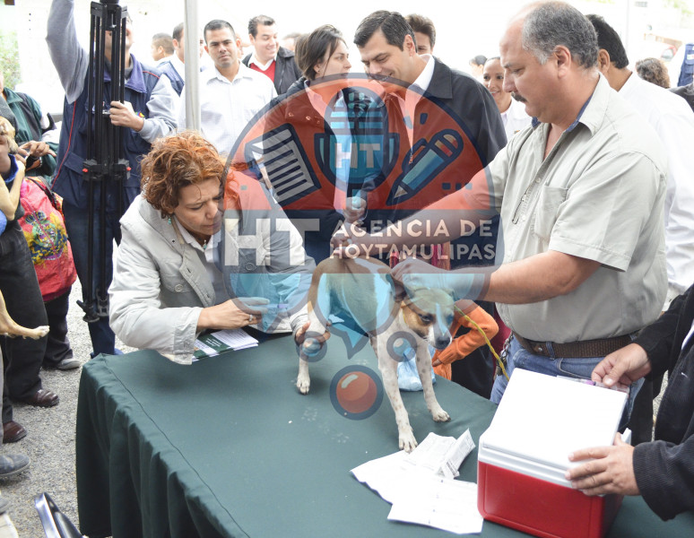 Vacunaci�n antirr�bica 2013