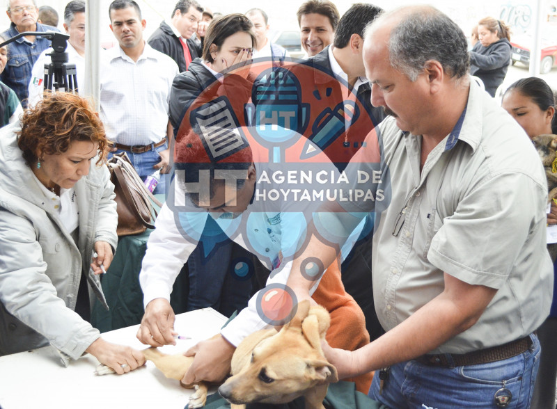 Vacunaci�n antirr�bica 2013