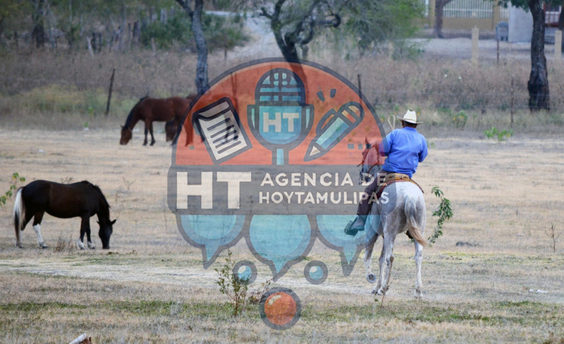 Sequia en Tamaulipas 