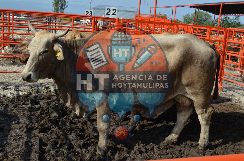 Impulsan proyectos estrat�gicos  para mitigar efectos de la sequ�a en Tamaulipas