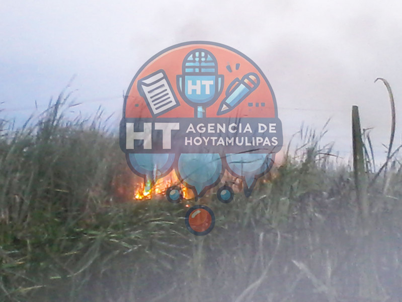 Se incendian 100 hectreas en Altamira