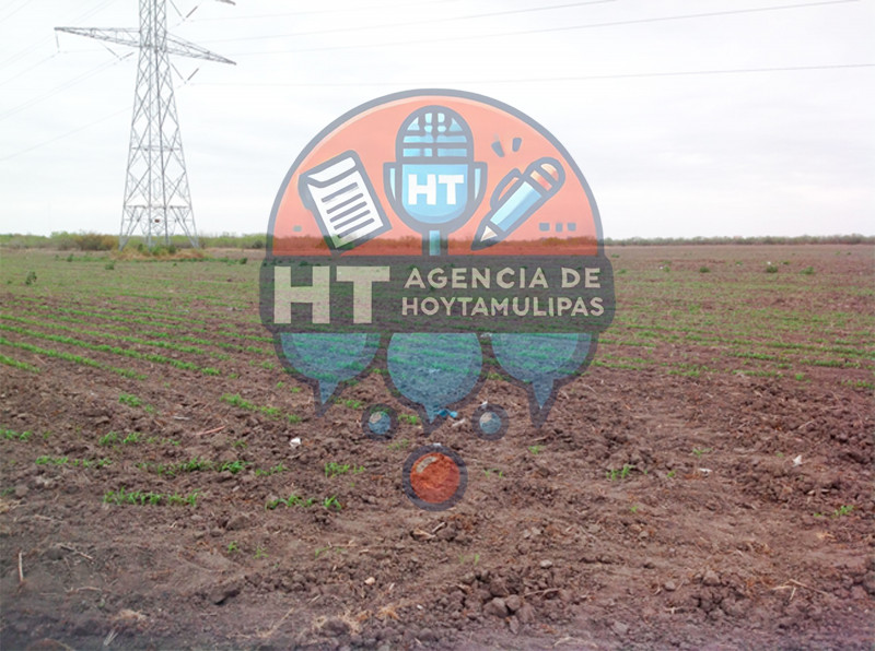 Se incrementa siniestro en la zona de temporal de Matamoros