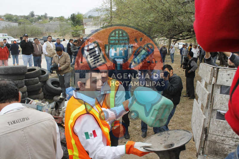 Programa de descacharre