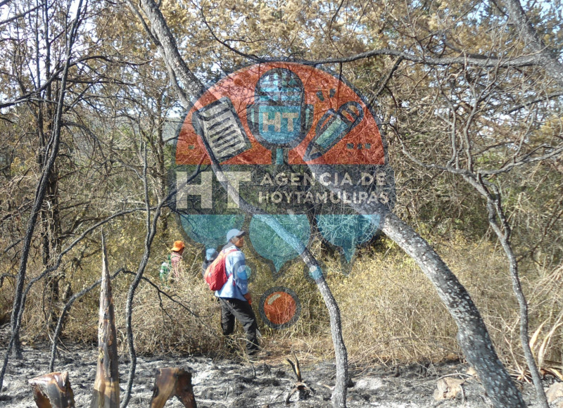 Brigadas comunitarias