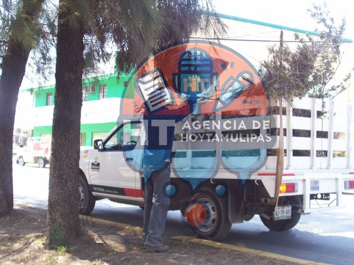 Recoleccin de basura