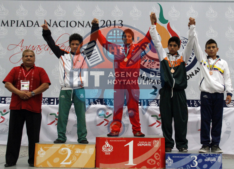Olimpiada Nacional 2013