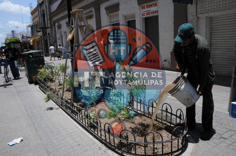 Mantenimiento en espacios p�blicos 