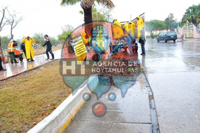 Cuadrillas de limpieza