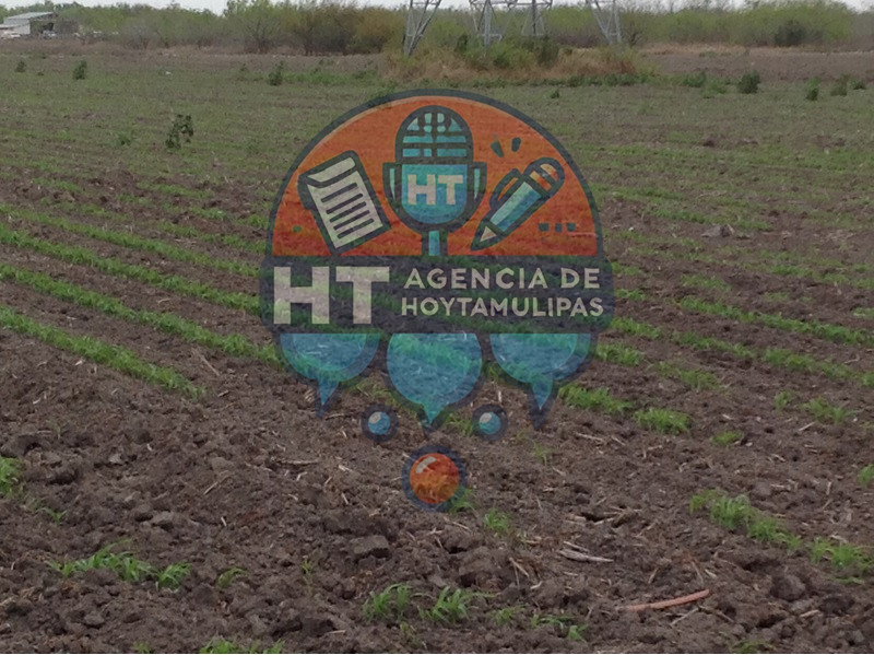 Agricultores Matamoros