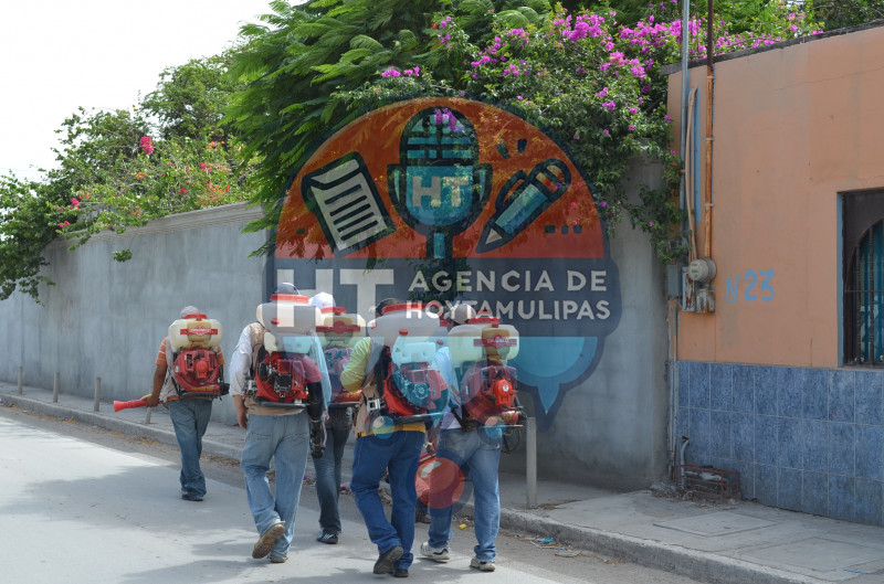Combaten el dengue en Matamoros